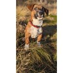 Zdjęcia użytkowników Google Pixel 6 Pro