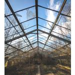 Zdjęcia użytkowników Google Pixel 6 Pro