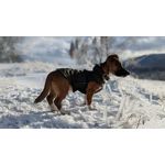 Zdjęcia użytkowników Google Pixel 6 Pro