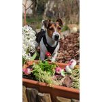 Zdjęcia użytkowników Google Pixel 6 Pro