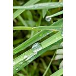 ZDJĘCIA Z TEGO TELEFONU