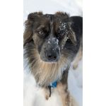 ZDJĘCIA Z TEGO TELEFONU