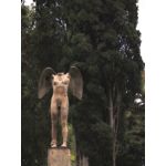 Zdjęcia użytkowników Google Pixel 8 Pro