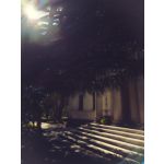 Zdjęcia użytkowników Google Pixel 8 Pro