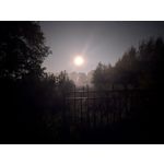 ZDJĘCIA Z TEGO TELEFONU