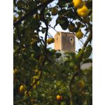 Zdjęcia użytkowników Google Pixel 8 Pro