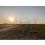 ZDJĘCIA Z TEGO TELEFONU