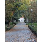 ZDJĘCIA Z TEGO TELEFONU