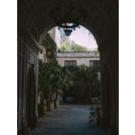 Zdjęcia użytkowników Google Pixel 8 Pro