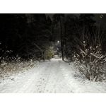 Zdjęcia użytkowników Google Pixel 8