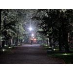 Zdjęcia użytkowników Google Pixel 10 Pro XL