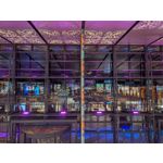 Zdjęcia użytkowników Google Pixel 10 Pro XL