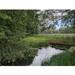 Zdjęcia użytkowników Google Pixel 10 Pro XL