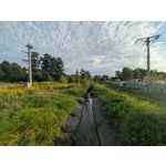 Zdjęcia użytkowników Google Pixel 10 Pro XL