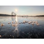 Zdjęcia użytkowników Google Pixel 10 Pro