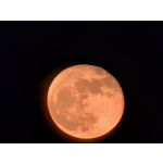 Zdjęcia użytkowników Google Pixel 10 Pro