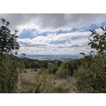 Zdjęcia użytkowników Google Pixel 10