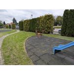 Zdjęcia użytkowników Google Pixel 10