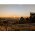 Zdjęcia użytkowników Google Pixel 10