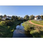 Zdjęcia użytkowników Google Pixel 10