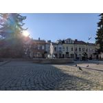 Zdjęcia użytkowników Google Pixel 10