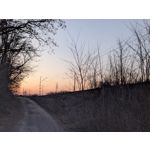 ZDJĘCIA Z TEGO TELEFONU