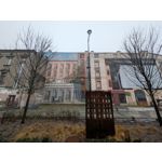 Zdjęcia użytkowników Google Pixel 10a