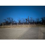 Zdjęcia użytkowników Google Pixel 10a