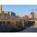 Zdjęcia użytkowników Google Pixel 10a