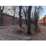 Zdjęcia użytkowników Google Pixel 10a