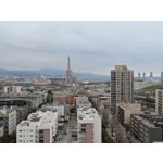 Zdjęcia użytkowników Google Pixel 10a