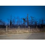 Zdjęcia użytkowników Google Pixel 10a