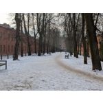 Zdjęcia użytkowników Google Pixel 10a