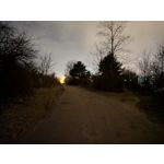 Zdjęcia użytkowników Google Pixel 10a