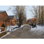 Zdjęcia użytkowników Google Pixel 10a