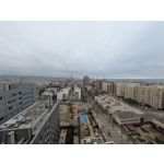 Zdjęcia użytkowników Google Pixel 10a