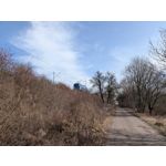 Zdjęcia użytkowników Google Pixel 10a