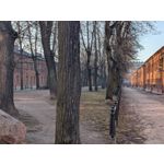 Zdjęcia użytkowników Google Pixel 10a