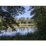 Zdjęcia użytkowników Google Pixel 11 Pro XL