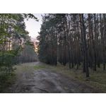 Zdjęcia użytkowników Google Pixel 11 Pro XL