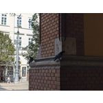 Zdjęcia użytkowników Google Pixel 11 Pro XL