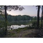 Zdjęcia użytkowników Google Pixel 11 Pro XL