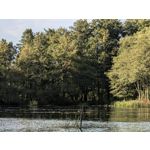 Zdjęcia użytkowników Google Pixel 11 Pro XL