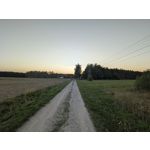 Zdjęcia użytkowników Google Pixel 11 Pro XL