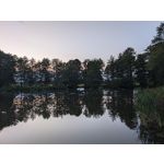 Zdjęcia użytkowników Google Pixel 11 Pro XL