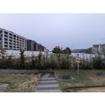 Zdjęcia użytkowników Google Pixel 11 Pro XL