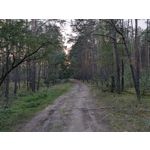 Zdjęcia użytkowników Google Pixel 11 Pro XL