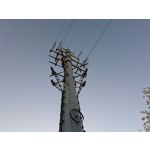 Zdjęcia użytkowników Google Pixel 8a