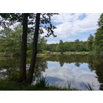 Zdjęcia użytkowników Google Pixel 8a