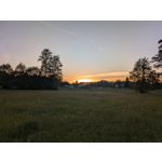 Zdjęcia użytkowników Google Pixel 8a